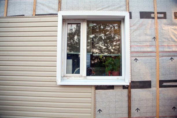 Best Custom Trim and Detailing for Siding  in Edmore, MI