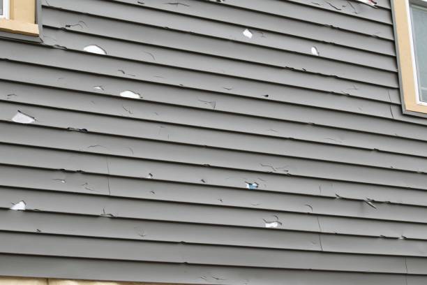 Best Steel Siding Installation  in Edmore, MI