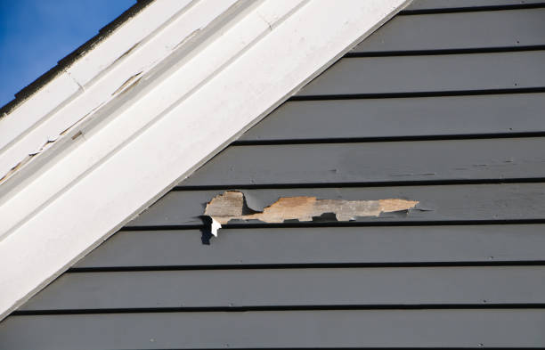 Best Storm Damage Siding Repair  in Edmore, MI